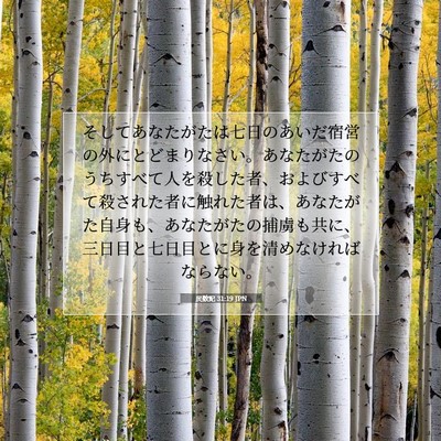 民数記 31:19 聖書の一節の解説