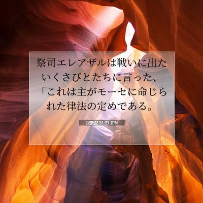 民数記 31:21 聖書の一節の解説