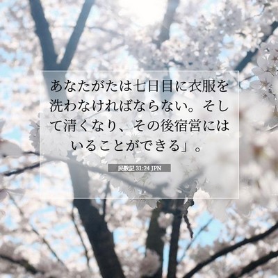 民数記 31:24 聖書の一節の解説
