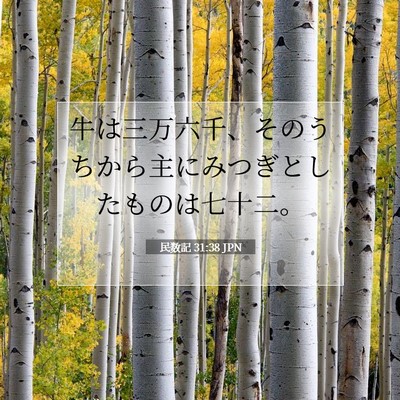 民数記 31:38 聖書の一節の解説