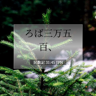 民数記 31:45 聖書の一節の解説