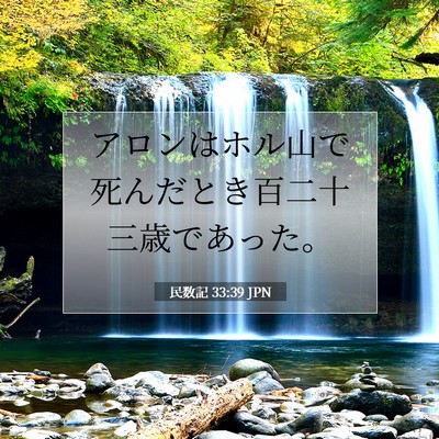 民数記 33:39 聖書の一節の解説