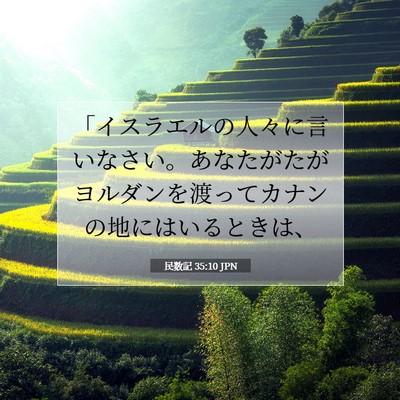 民数記 35:10 聖書の一節の解説