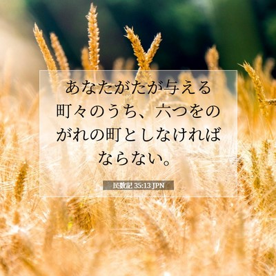 民数記 35:13 聖書の一節の解説