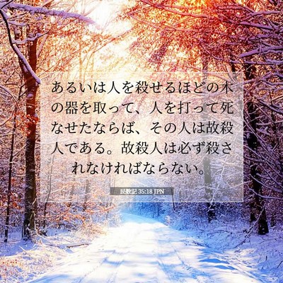 民数記 35:18 聖書の一節の解説