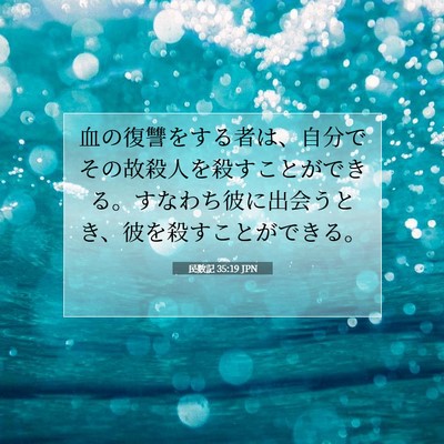 民数記 35:19 聖書の一節の解説