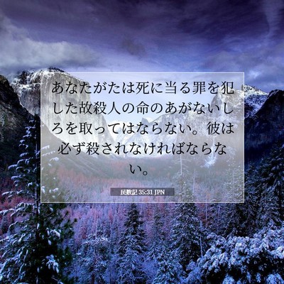 民数記 35:31 聖書の一節の解説