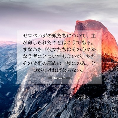 民数記 36:6 聖書の一節の解説