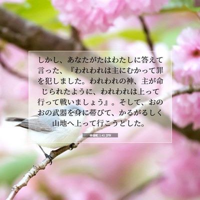 申命記 1:41 聖書の一節の解説