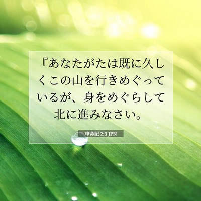 申命記 2:3 聖書の一節の解説