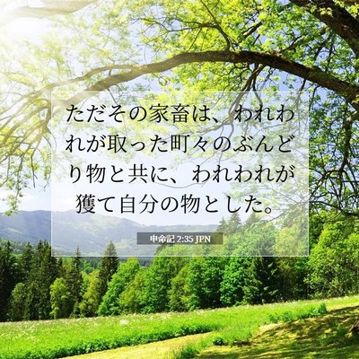 申命記 2:35 聖書の一節の解説