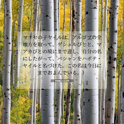 申命記 3:14 聖書の一節の解説