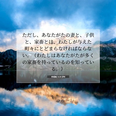 申命記 3:19 聖書の一節の解説