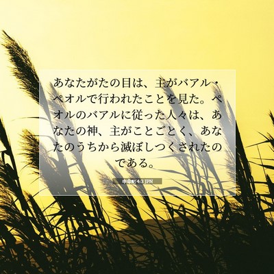 申命記 4:3 聖書の一節の解説