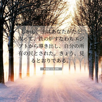 申命記 4:20 聖書の一節の解説
