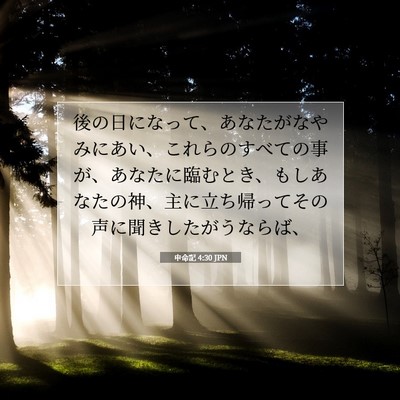 申命記 4:30 聖書の一節の解説