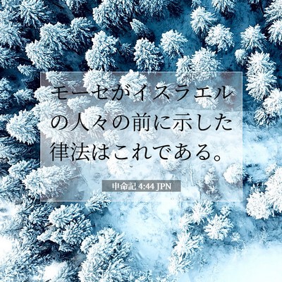 申命記 4:44 聖書の一節の解説