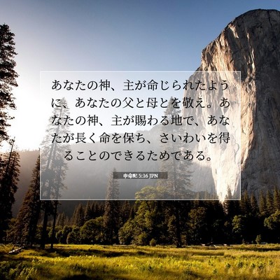申命記 5:16 聖書の一節の解説