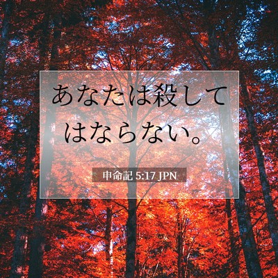 申命記 5:17 聖書の一節の解説