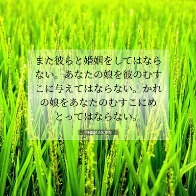 申命記 7:3 聖書の一節の解説