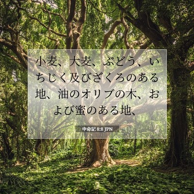申命記 8:8 聖書の一節の解説