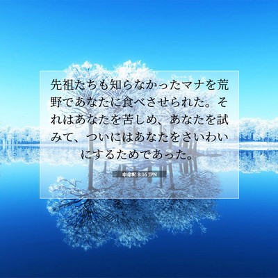 申命記 8:16 聖書の一節の解説