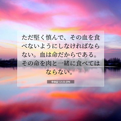 申命記 12:23 聖書の一節の解説