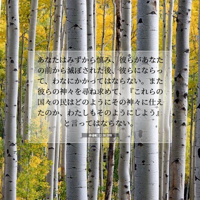 申命記 12:30 聖書の一節の解説