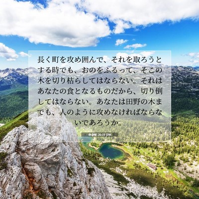 申命記 20:19 聖書の一節の解説
