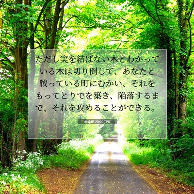 申命記 20:20 聖書の一節の解説