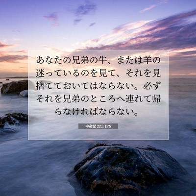 申命記 22:1 聖書の一節の解説
