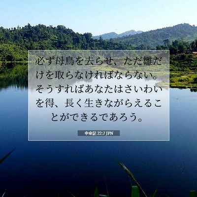 申命記 22:7 聖書の一節の解説