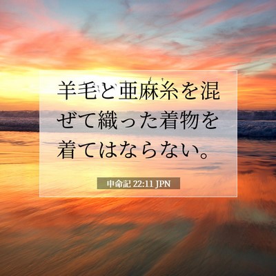 申命記 22:11 聖書の一節の解説