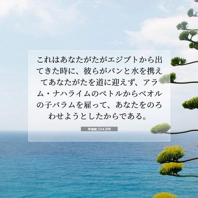 申命記 23:4 聖書の一節の解説