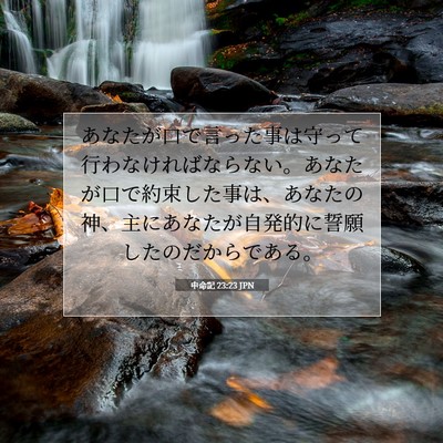 申命記 23:23 聖書の一節の解説