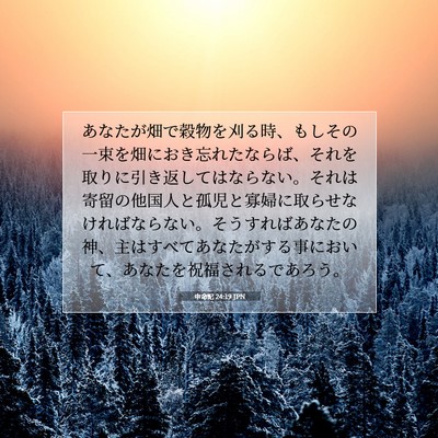 申命記 24:19 聖書の一節の解説