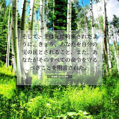 申命記 26:18 聖書の一節の解説