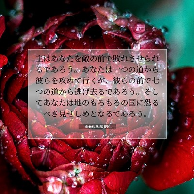 申命記 28:25 JPN 聖書の一節の画像