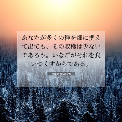 申命記 28:38 JPN 聖書の一節の画像