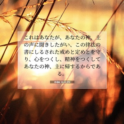 申命記 30:10 聖書の一節の解説