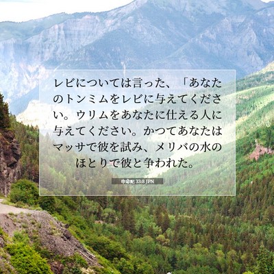 申命記 33:8 聖書の一節の解説
