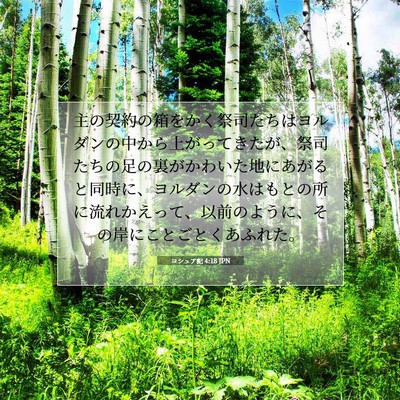 ヨシュア記 4:18 聖書の一節の解説