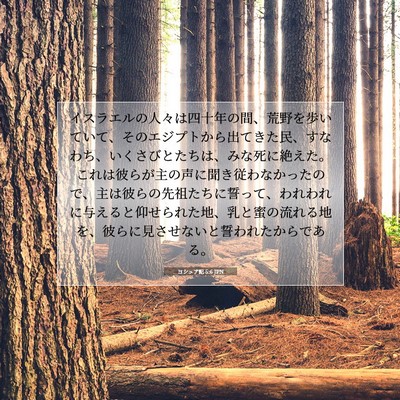 ヨシュア記 5:6 聖書の一節の解説