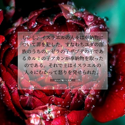 ヨシュア記 7:1 JPN 聖書の一節の画像
