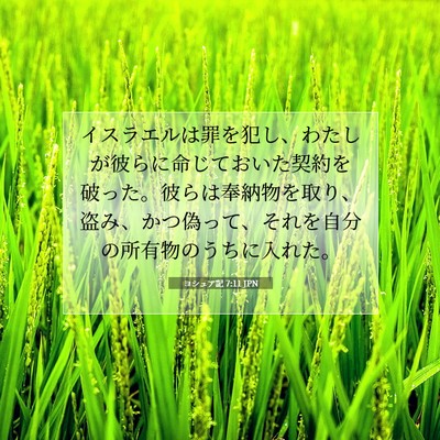ヨシュア記 7:11 JPN 聖書の一節の画像