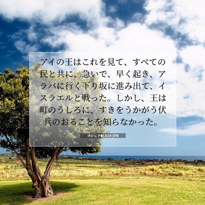 ヨシュア記 8:14 聖書の一節の解説