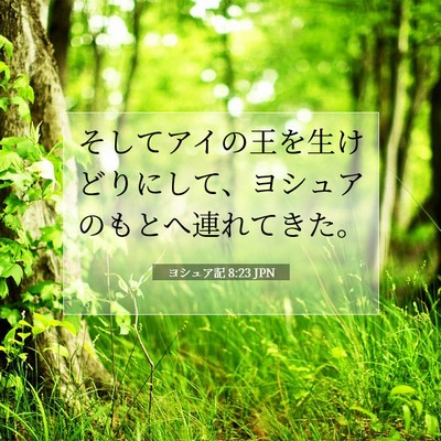 ヨシュア記 8:23 聖書の一節の解説