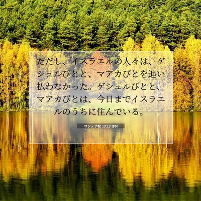 ヨシュア記 13:13 聖書の一節の解説