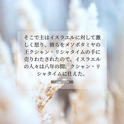 士師記 3:8 聖書の一節の解説