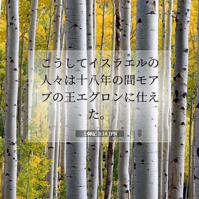 士師記 3:14 聖書の一節の解説